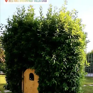 Oasi Bed and breakfast