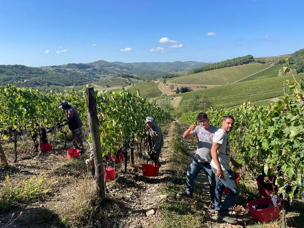 Bed and Breakfast Fattoria Poggerino Radda in Chianti