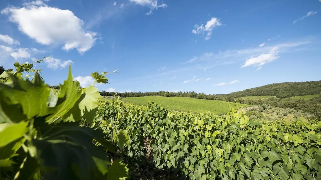 Fattoria Poggerino Bed & Breakfast Radda in Chianti 0*,  Italy